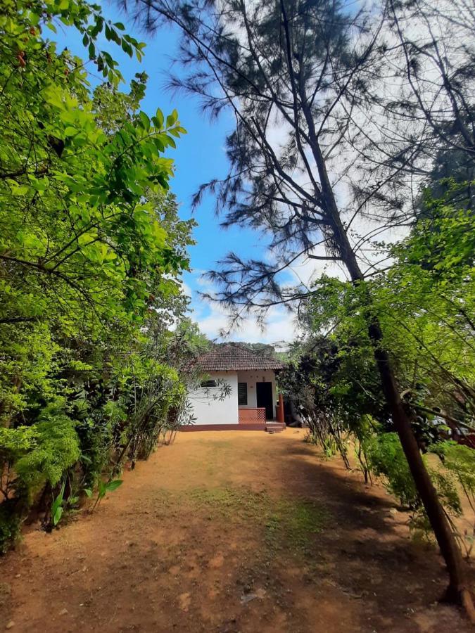 Tusker Tribe Hostel Gokarna  Εξωτερικό φωτογραφία
