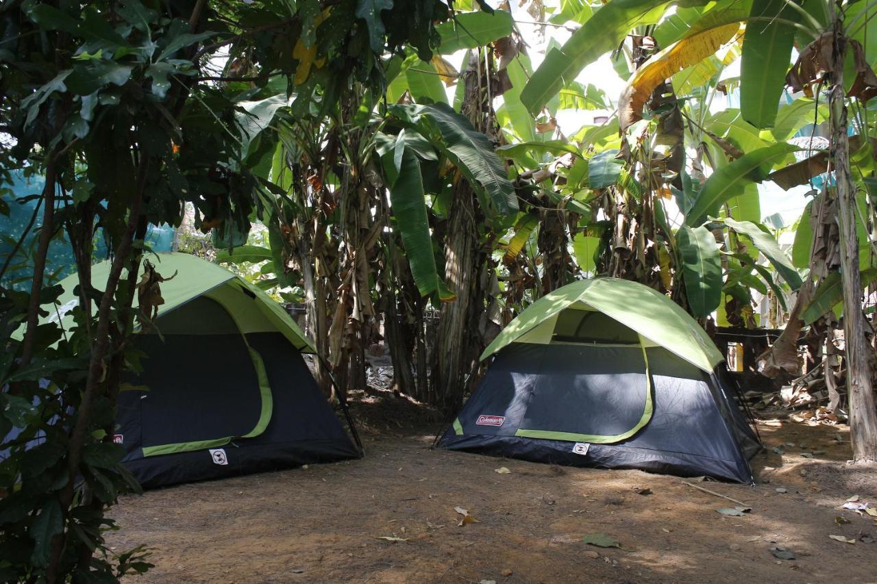 Tusker Tribe Hostel Gokarna  Εξωτερικό φωτογραφία
