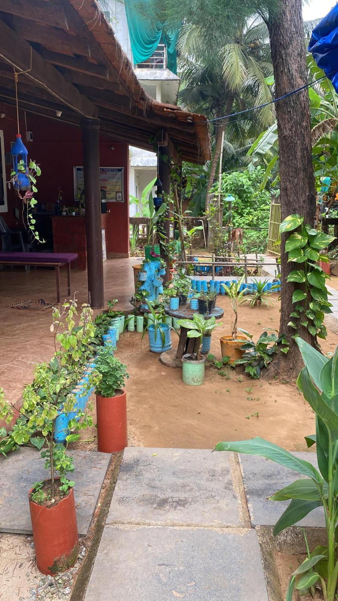 Tusker Tribe Hostel Gokarna  Εξωτερικό φωτογραφία